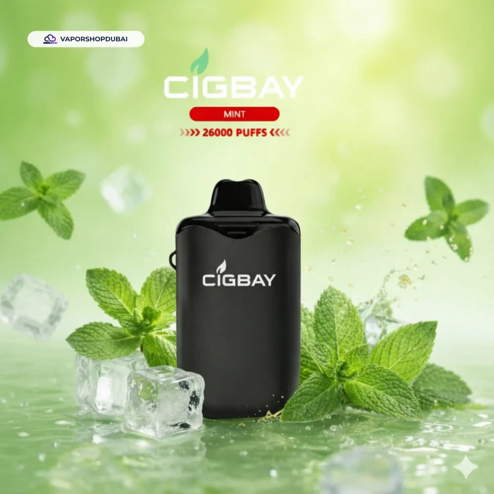 Cigbay 26000 Puffs Disposable Vape Kit 20mg in the UAE