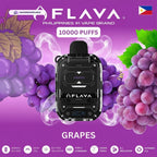 Flava Nimmbox 10000 Puffs Disposable Vape In UAE