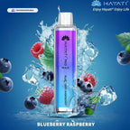 Hayati Pro Max 4000 Puffs Disposable Vape In UAE