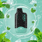 Pura 6000 Puffs Disposable Vape 2% In UAE