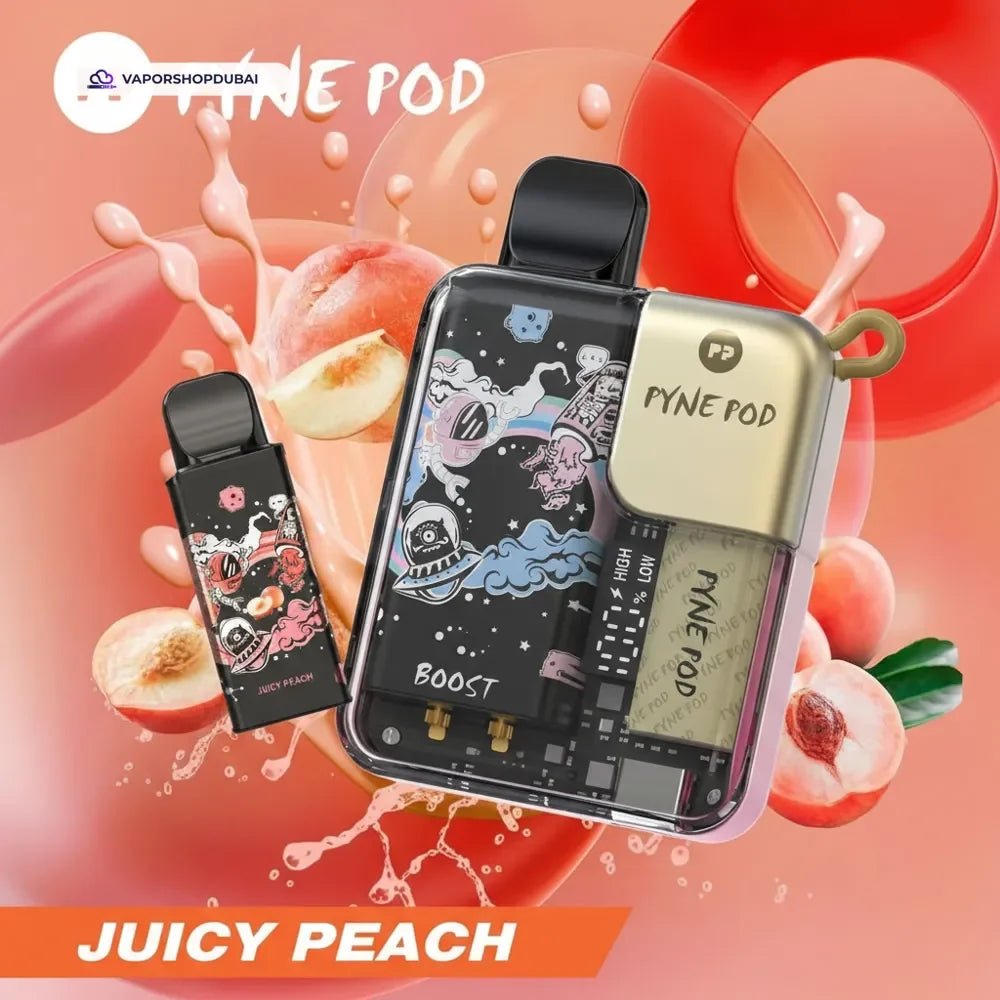 Pyne Pod 8000 Puffs Disposable Vape (Replaceable Pod) In UAE