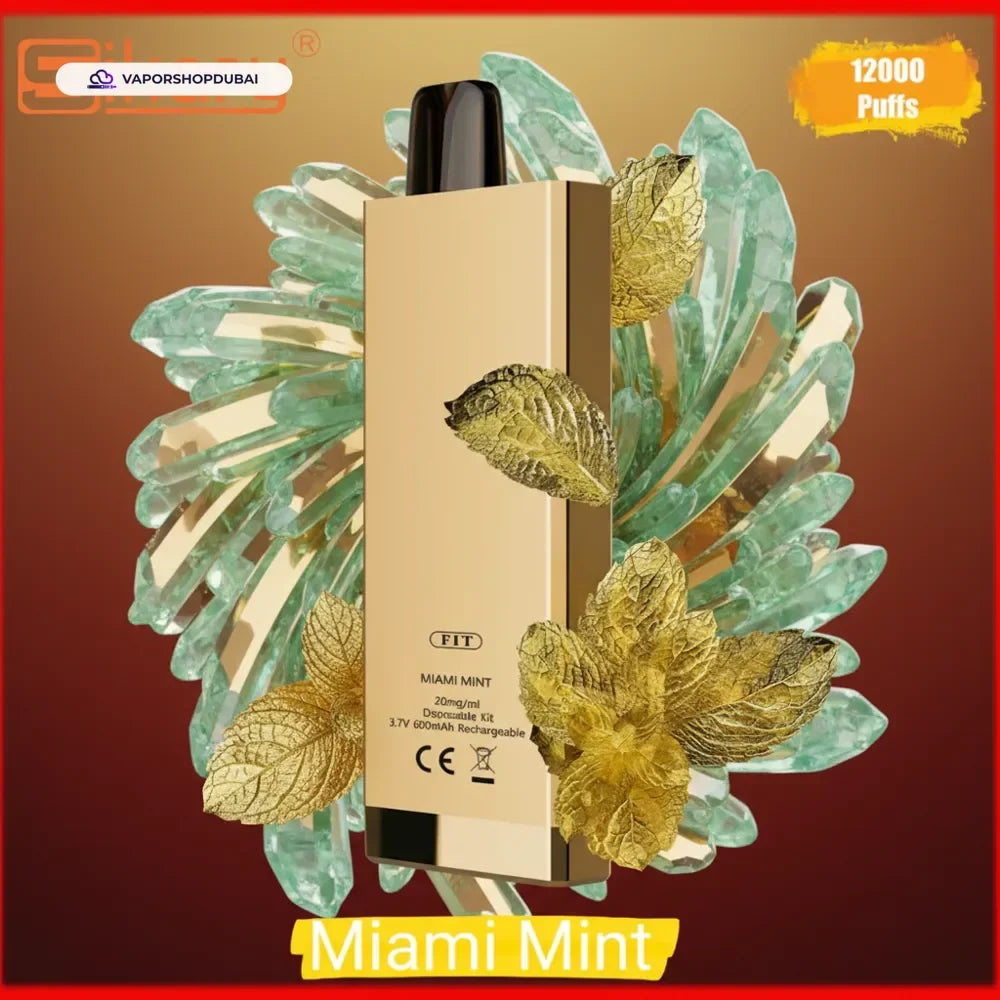 SIKARY FIT 12000 Puffs Disposable Vape 20mg/ml nicotine In UAE
