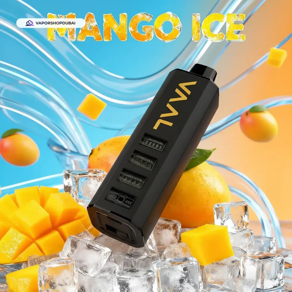 VAAL Cyber Shisha 50000 Puffs 5mg DTL Disposable Vape In DUBAI, UAE