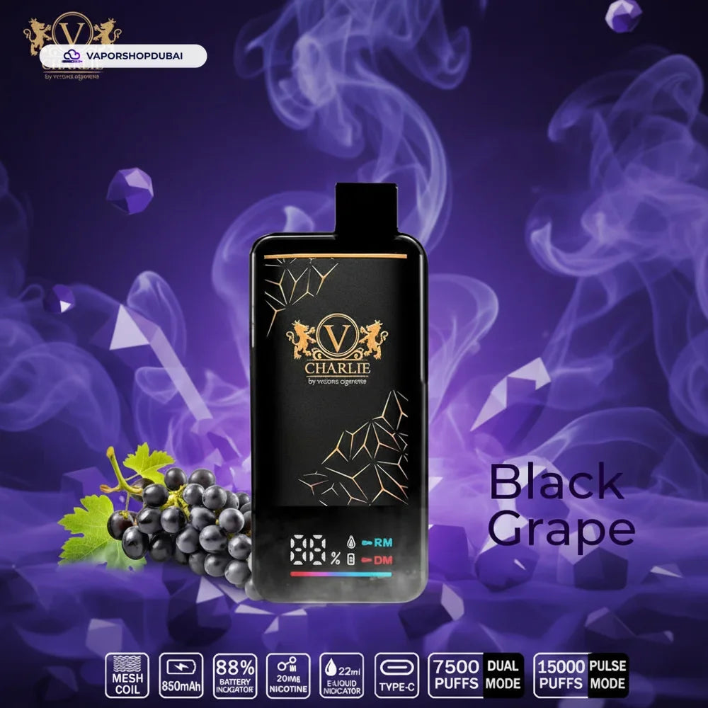 Vicig Charlie Disposable Vape 15000 Puffs In UAE