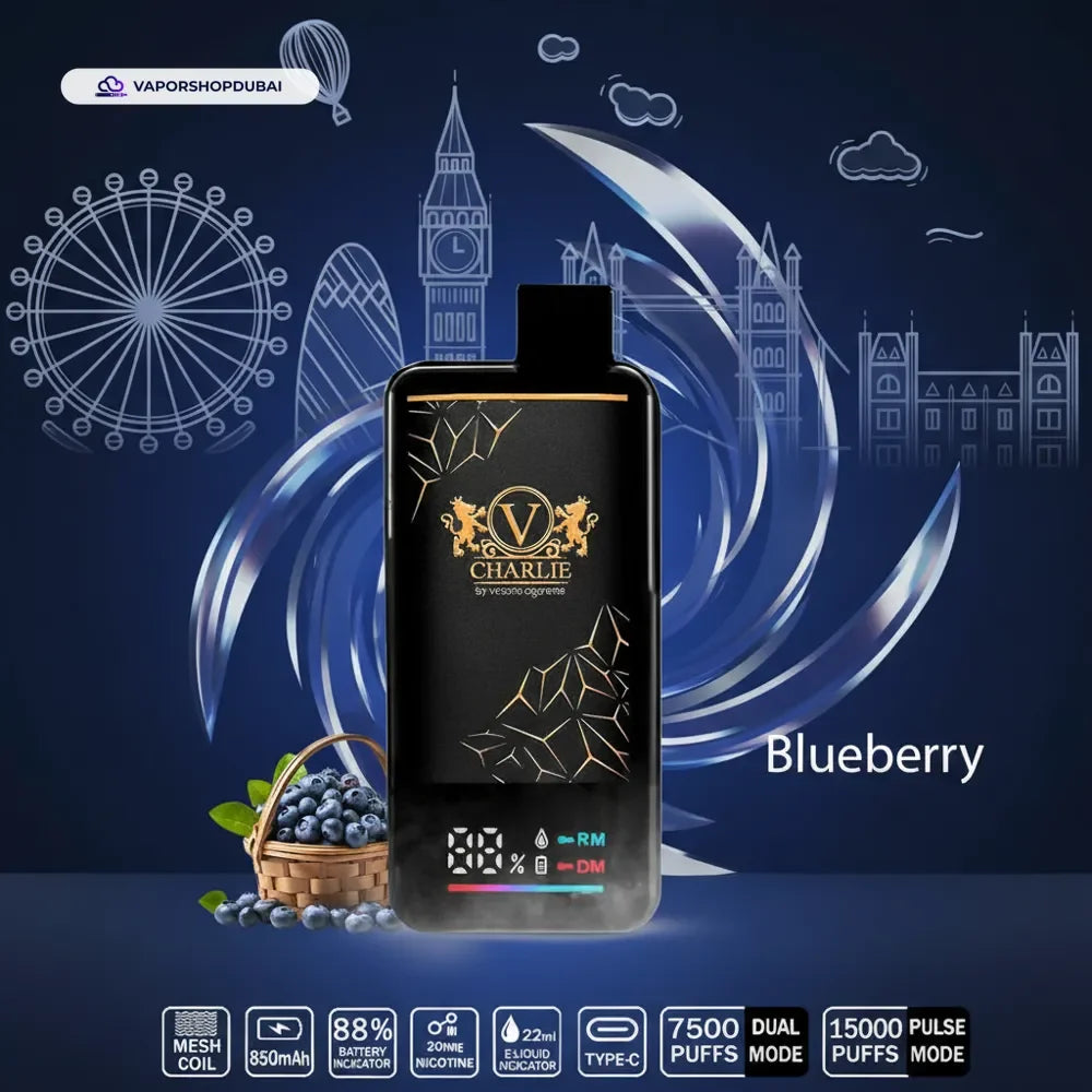 Vicig Charlie Disposable Vape 15000 Puffs In UAE