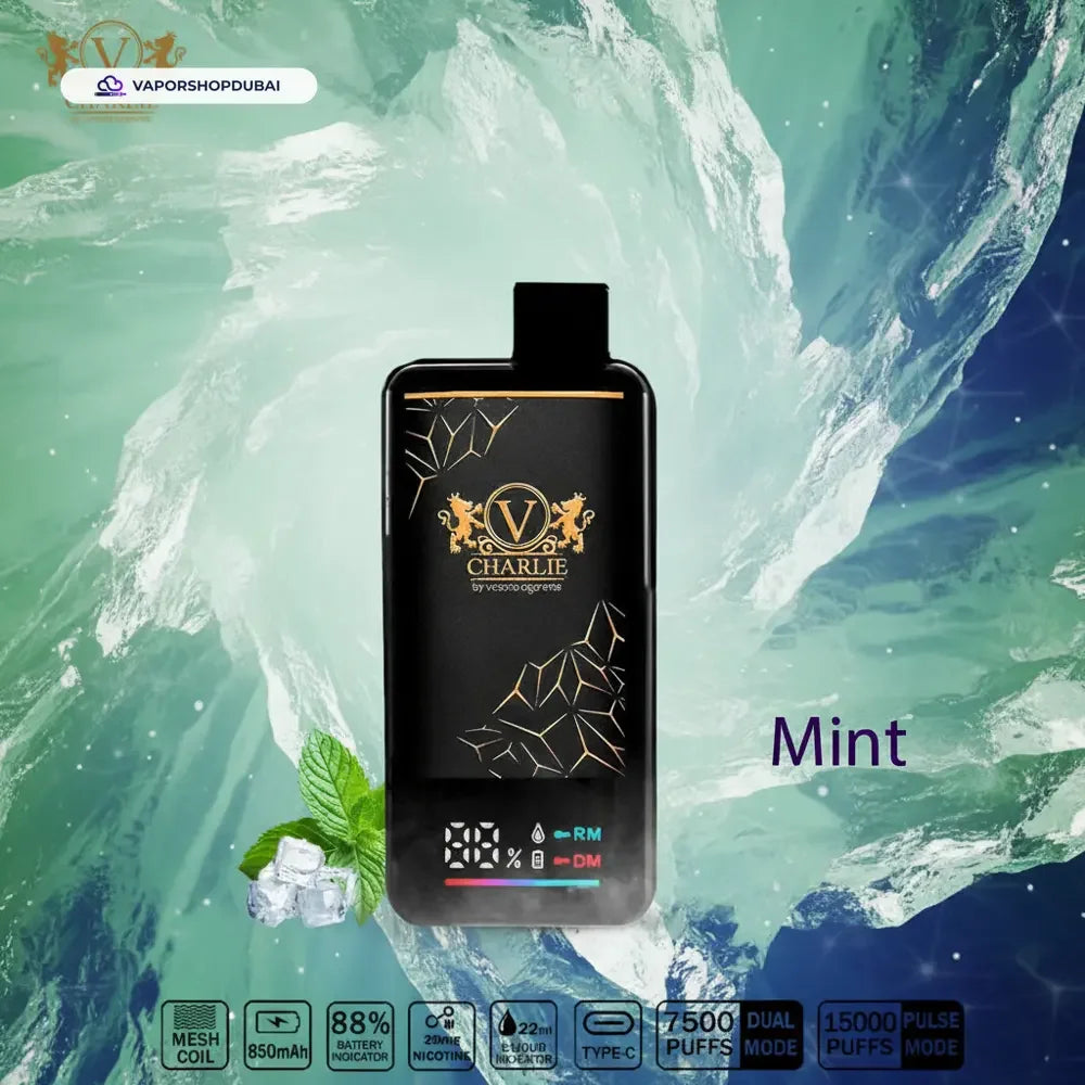 Vicig Charlie Disposable Vape 15000 Puffs In UAE