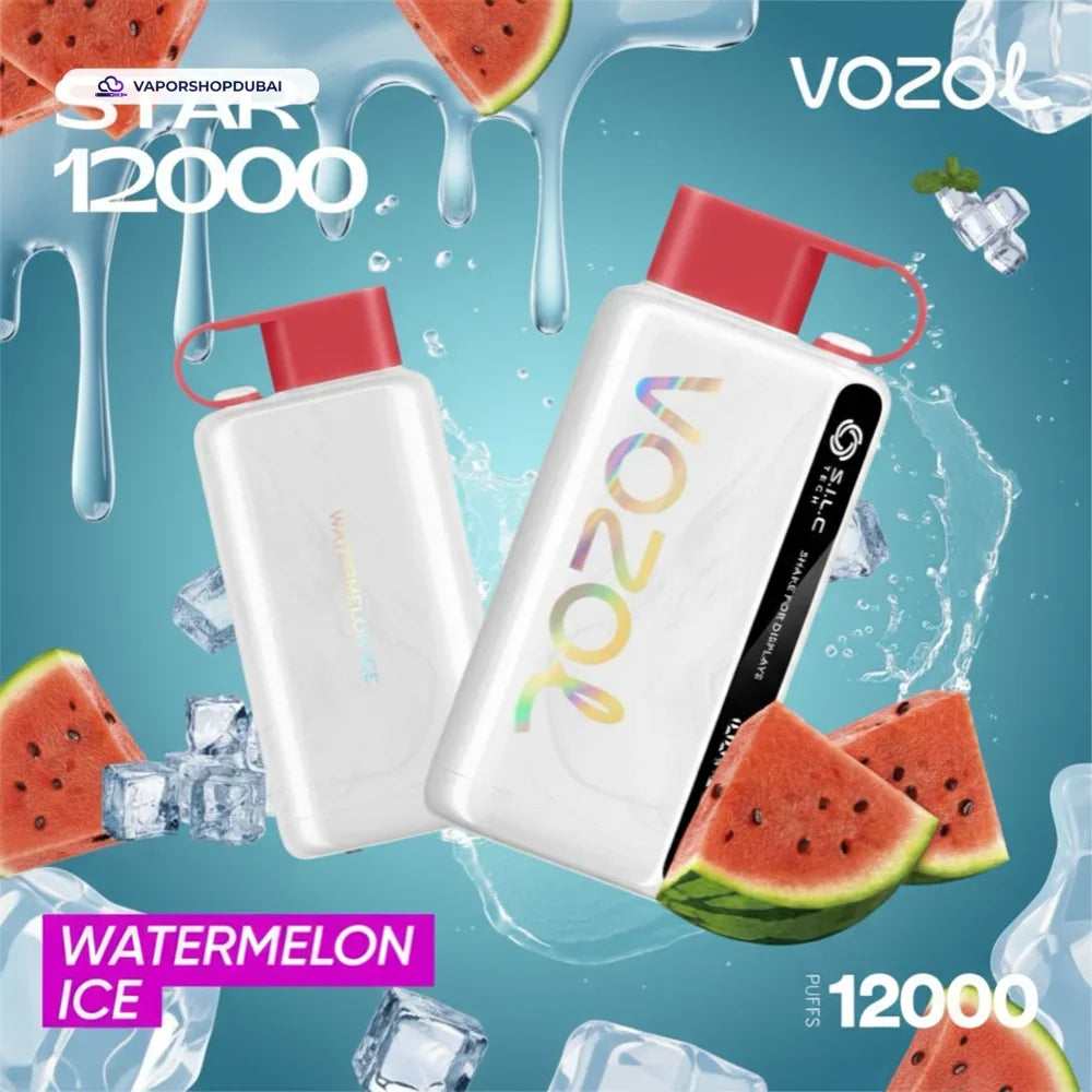 VOZOL STAR 12000 Puffs Disposable Kit In UAE