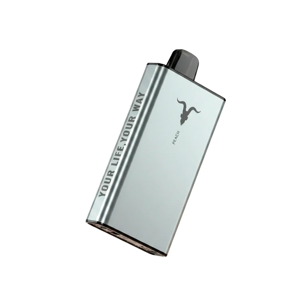Ignite Ice 40000 Puffs Disposable Vape | ICY flavour | 50 mg nicotine