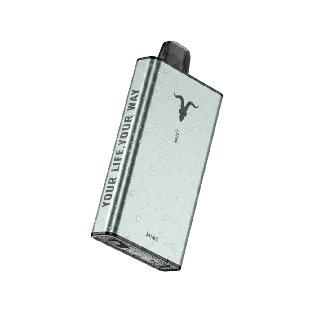 Ignite Ice 40000 Puffs Disposable Vape | ICY flavour | 50 mg nicotine