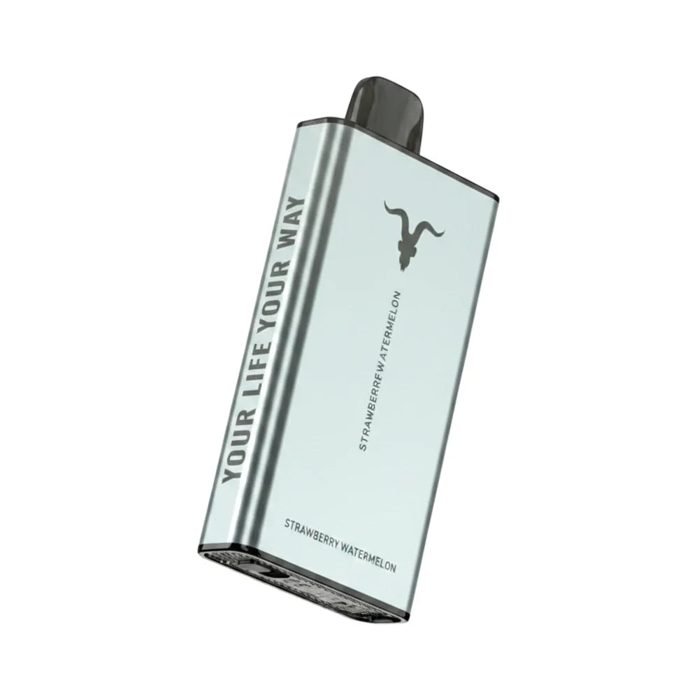 Ignite Ice 40000 Puffs Disposable Vape | ICY flavour | 50 mg nicotine
