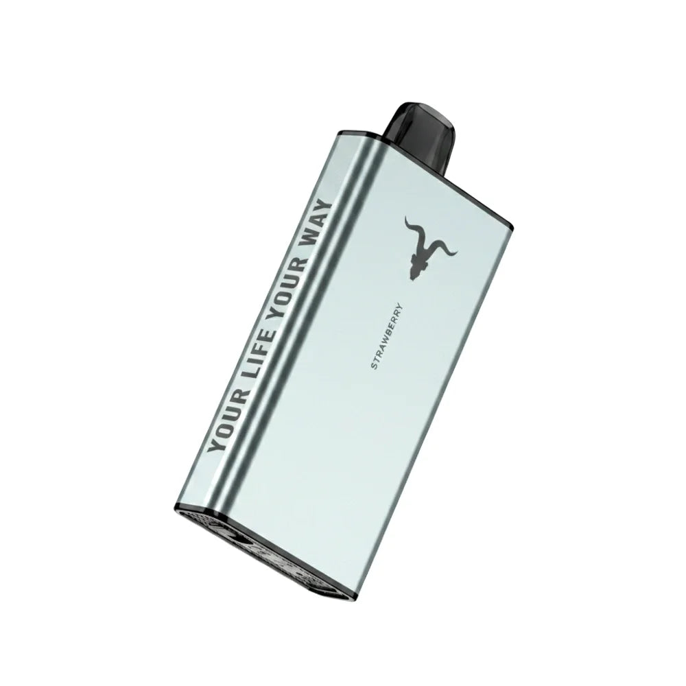 Ignite Ice 40000 Puffs Disposable Vape | ICY flavour | 50 mg nicotine