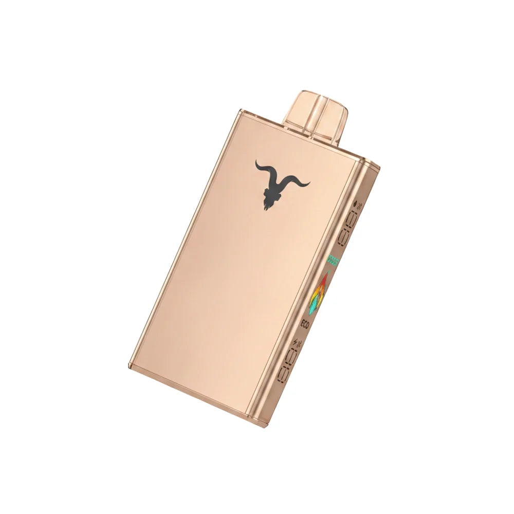 IGNITE - V250 Rechargeable Disposable Vape (25,000 Puffs)