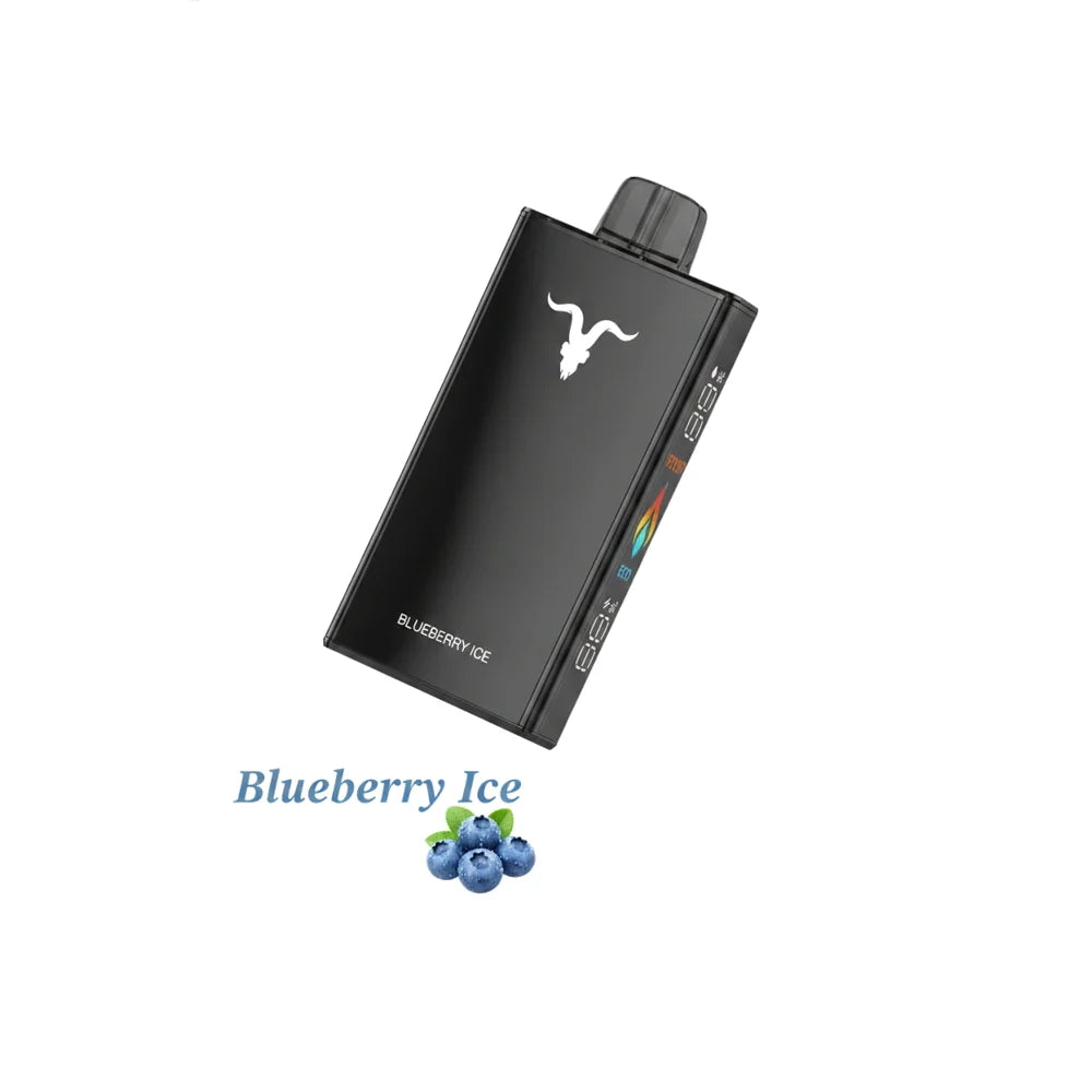 IGNITE - V250 Rechargeable Disposable Vape (25,000 Puffs)