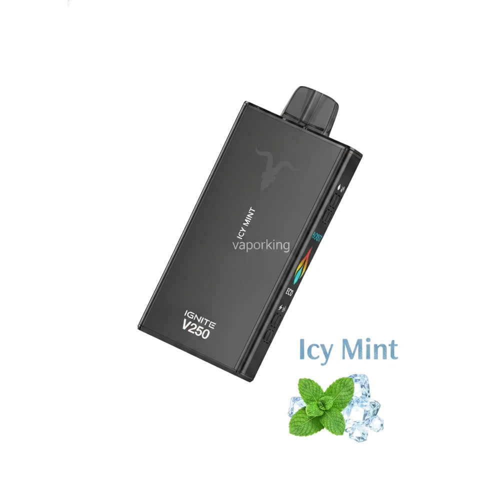 IGNITE - V250 Rechargeable Disposable Vape (25,000 Puffs)
