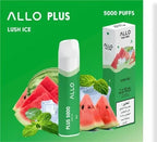 ALLO PLUS 5000 PUFFS