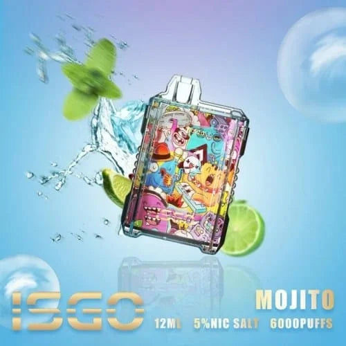 ISGO DRUM BOX 6000 PUFFS