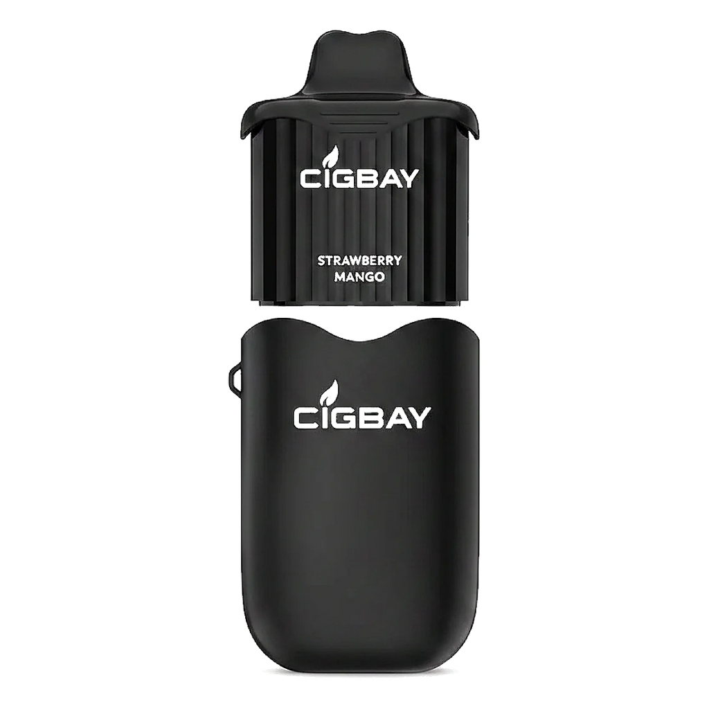 Cigbay 26000 Puffs Disposable Vape Kit 20mg في الإمارات العربية المتحدة