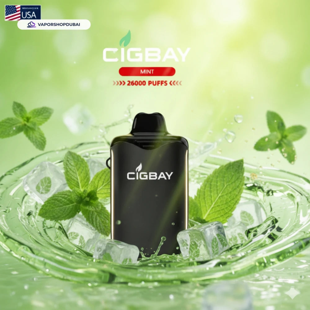 Cigbay 26000 Puffs Disposable Vape Kit 20mg in the UAE