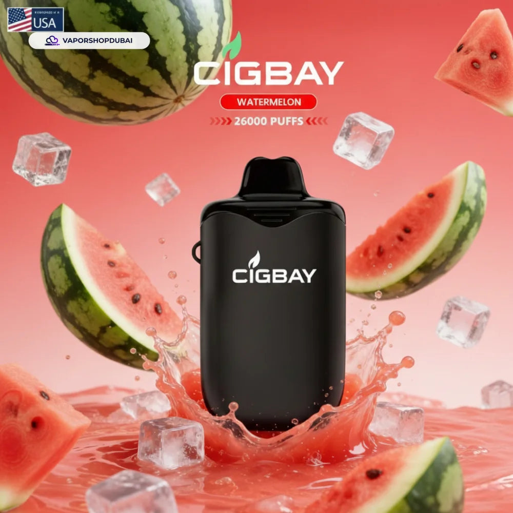 Cigbay 26000 Puffs Disposable Vape Kit 20mg in the UAE