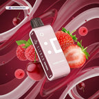 Elf Bar EW9000 Replacement Pods Prefilled 9000 Puffs In UAE