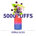 ELFBAR 5000