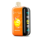ELFBAR Raya D3 25000 puff Disposable Vape