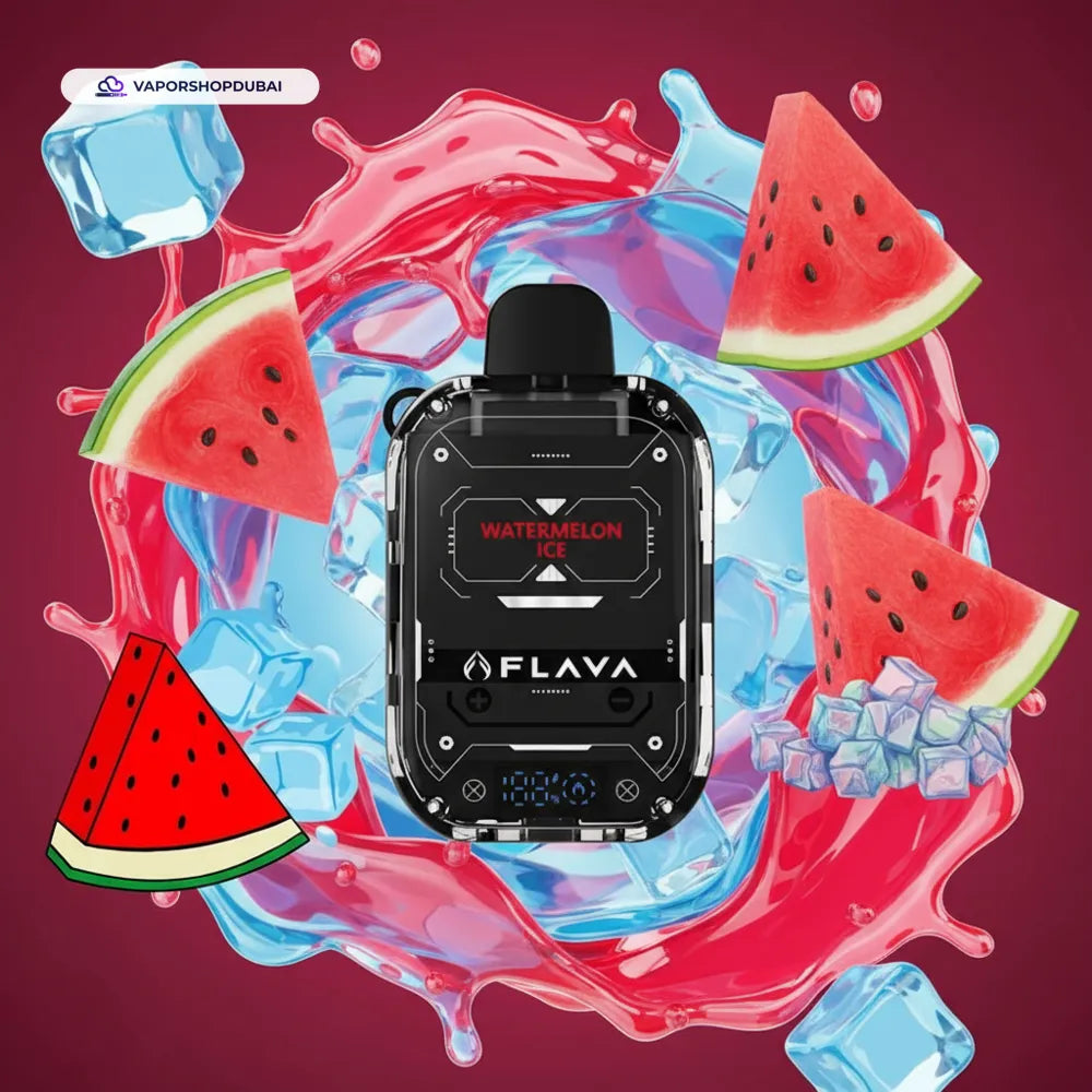Flava Nimmbox 10000 Puffs Disposable Vape In UAE