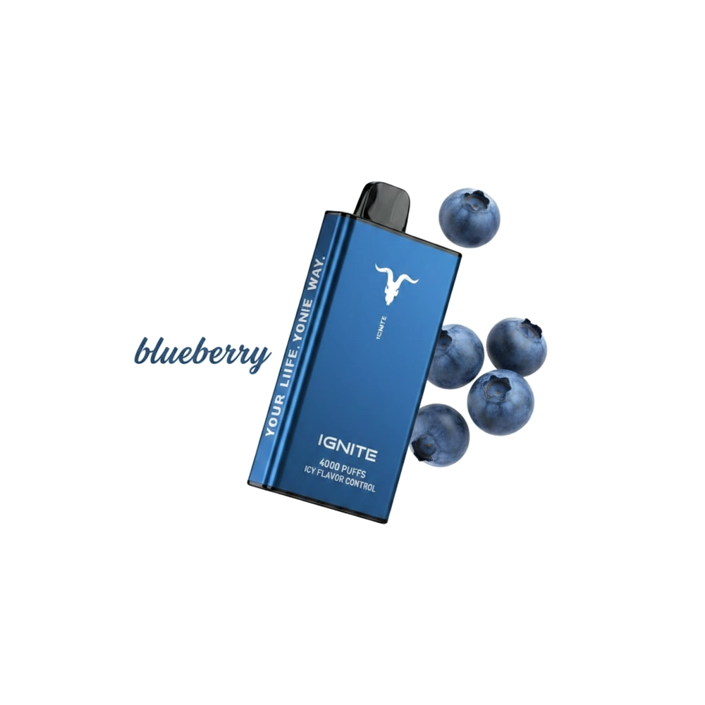 Ignite Ice 40000 Puffs Disposable Vape Icy Flavor Dubai UAE Blueberry Flavor -- Buy Disposable Vape Dubai UAE