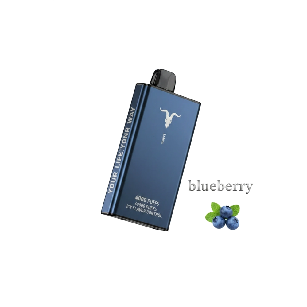 Ignite Ice 40000 Puffs Disposable Vape Icy Flavor Dubai UAE Blueberry Flavor -- Buy Disposable Vape Dubai UAE