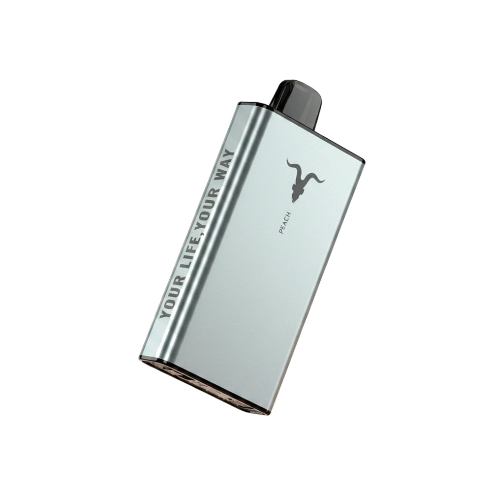 IGNITE Ice 40000 Puffs Dubai — Ice Control Vape, AED 75 UAE