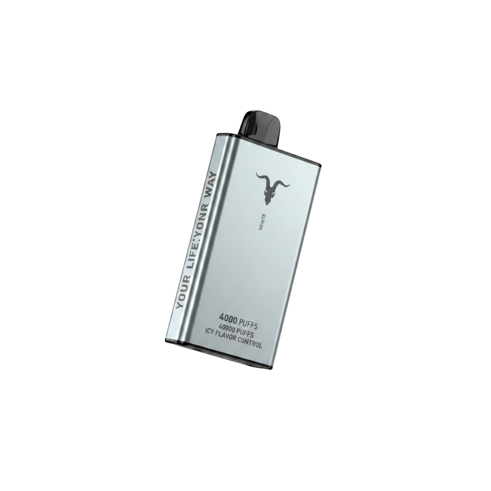 Ignite Ice 40000 Puffs Disposable Vape Icy Flavor Dubai UAE