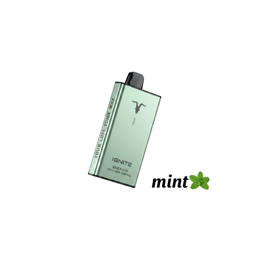 Ignite Ice 40000 Puffs Disposable Vape Icy Flavor Dubai UAE Mint Flavor -- Buy Disposable Vape Dubai UAE