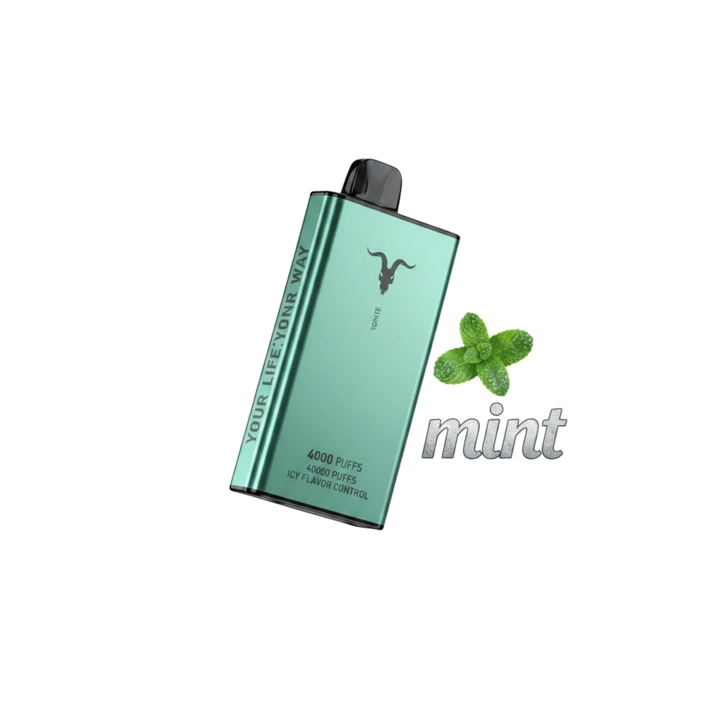 Ignite Ice 40000 Puffs Disposable Vape Icy Flavor Dubai UAE Mint Flavor -- Buy Disposable Vape Dubai UAE
