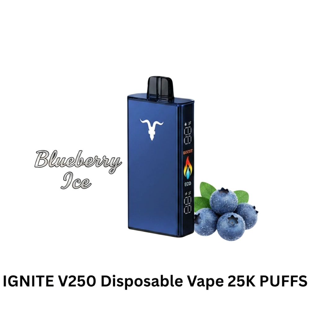 IGNITE V250 Disposable Vape 25K PUFFS Blueberry Ice Flavor -- Buy Disposable Vape Dubai UAE