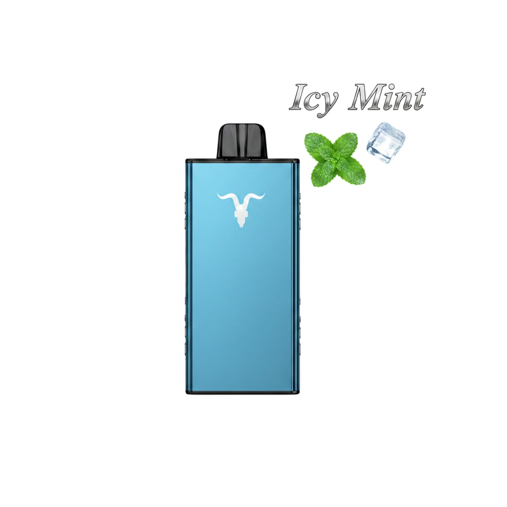 IGNITE V250 Disposable Vape 25K PUFFS Icy Mint Flavor -- Buy Disposable Vape Dubai UAE