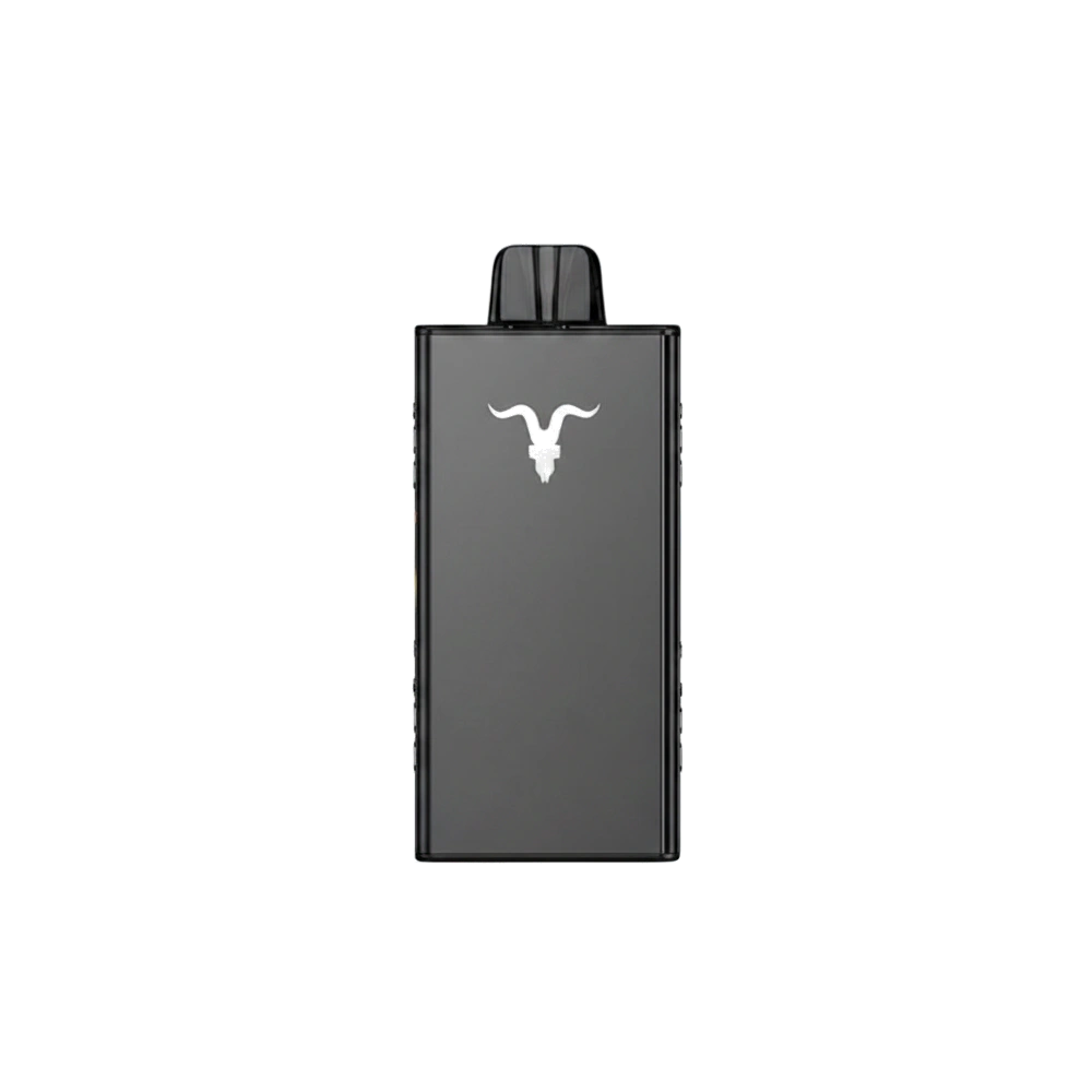 IGNITE V250 Disposable Vape 25K PUFFS