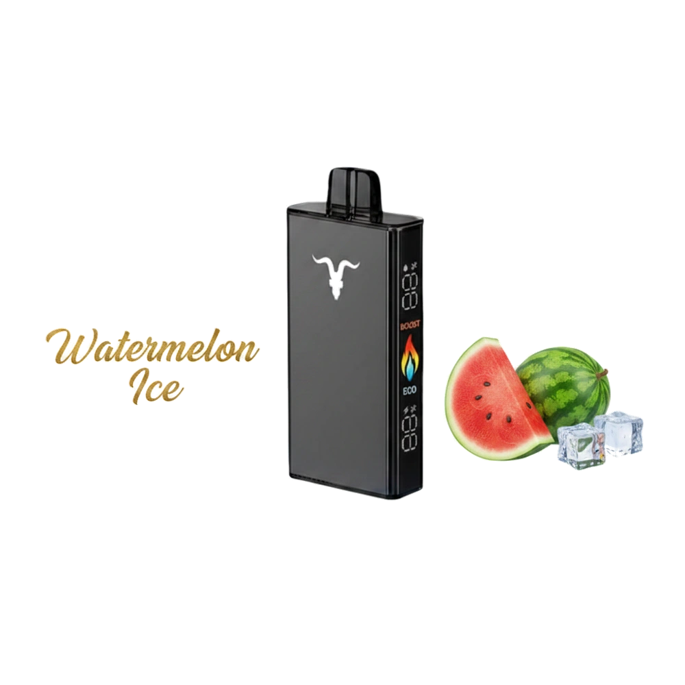 IGNITE V250 Disposable Vape 25K PUFFS Watermelon Ice Flavor -- Buy Disposable Vape Dubai UAE