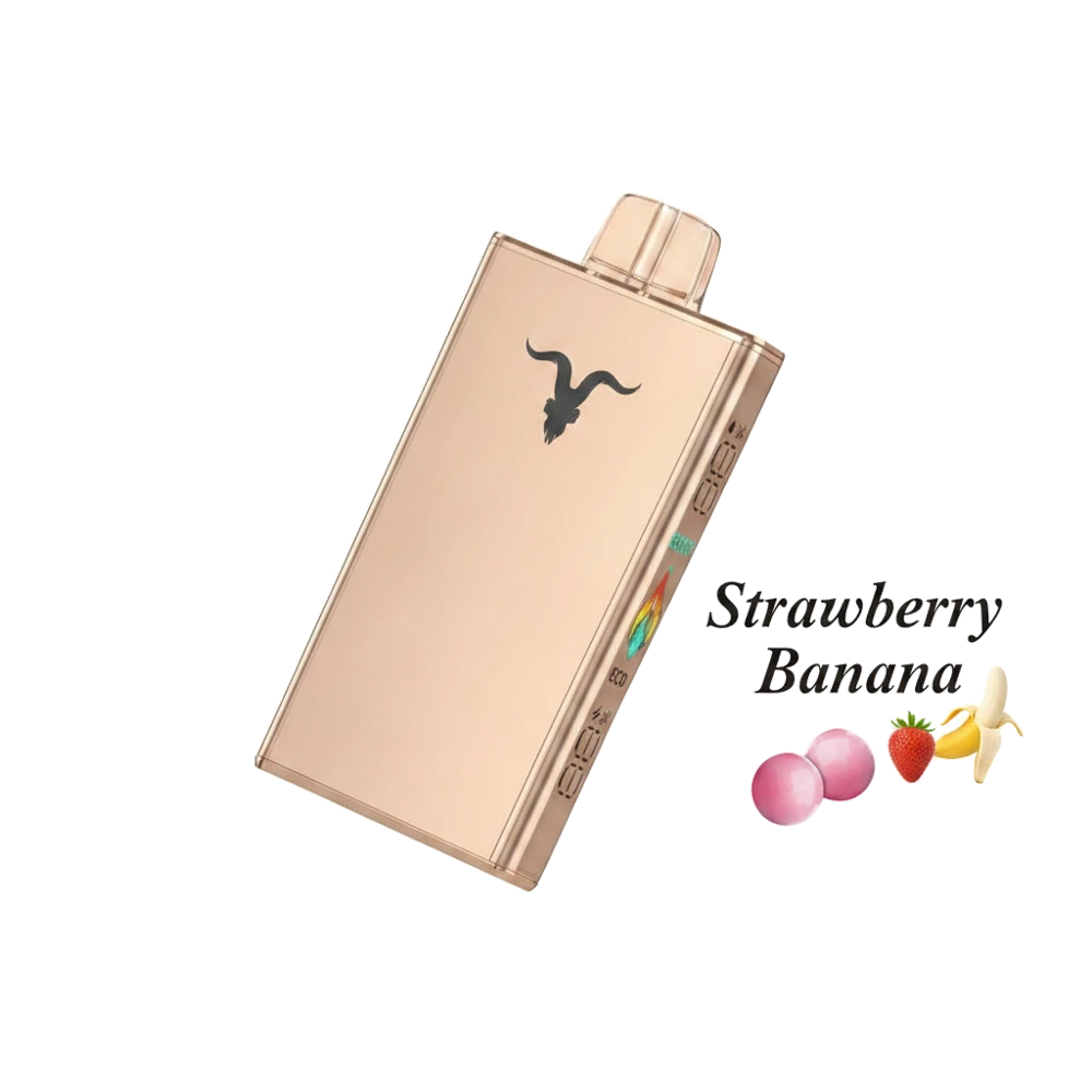 IGNITE - V250 Rechargeable Disposable Vape (25,000 Puffs)