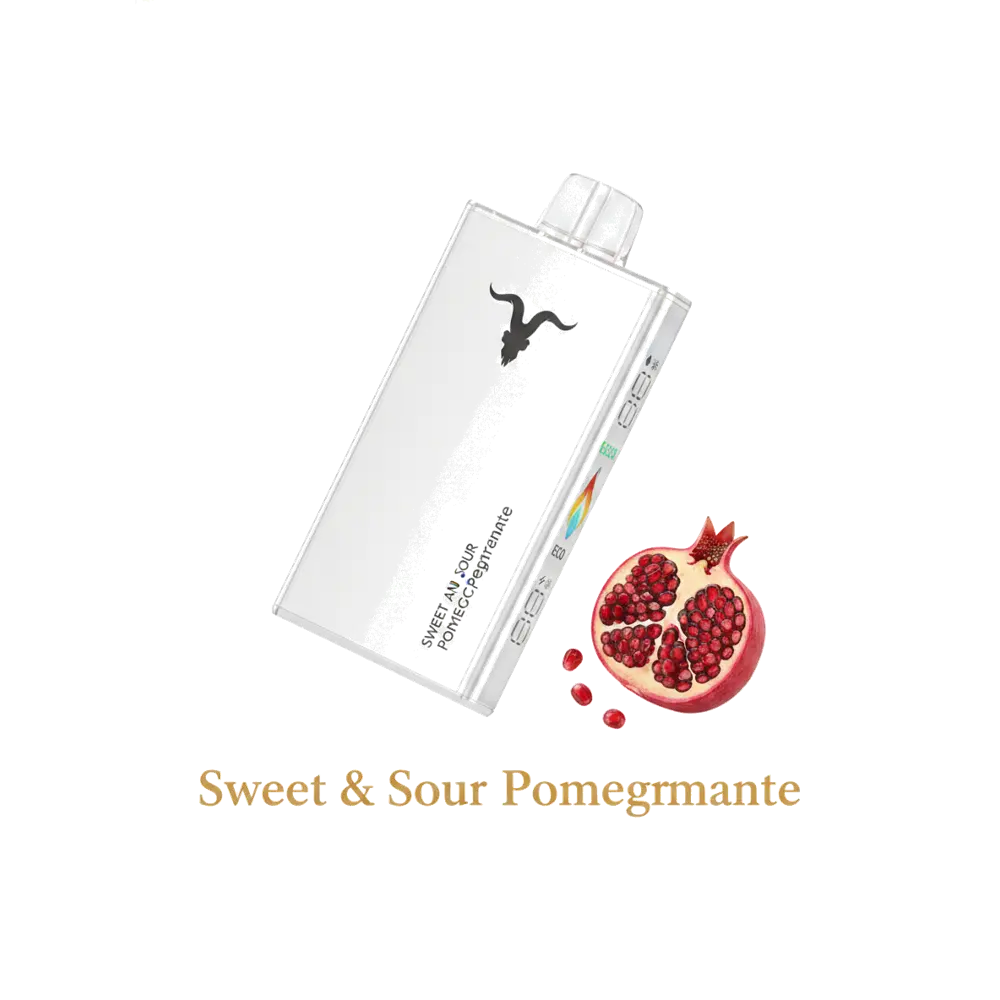 IGNITE - V250 Rechargeable Disposable Vape (25,000 Puffs)
