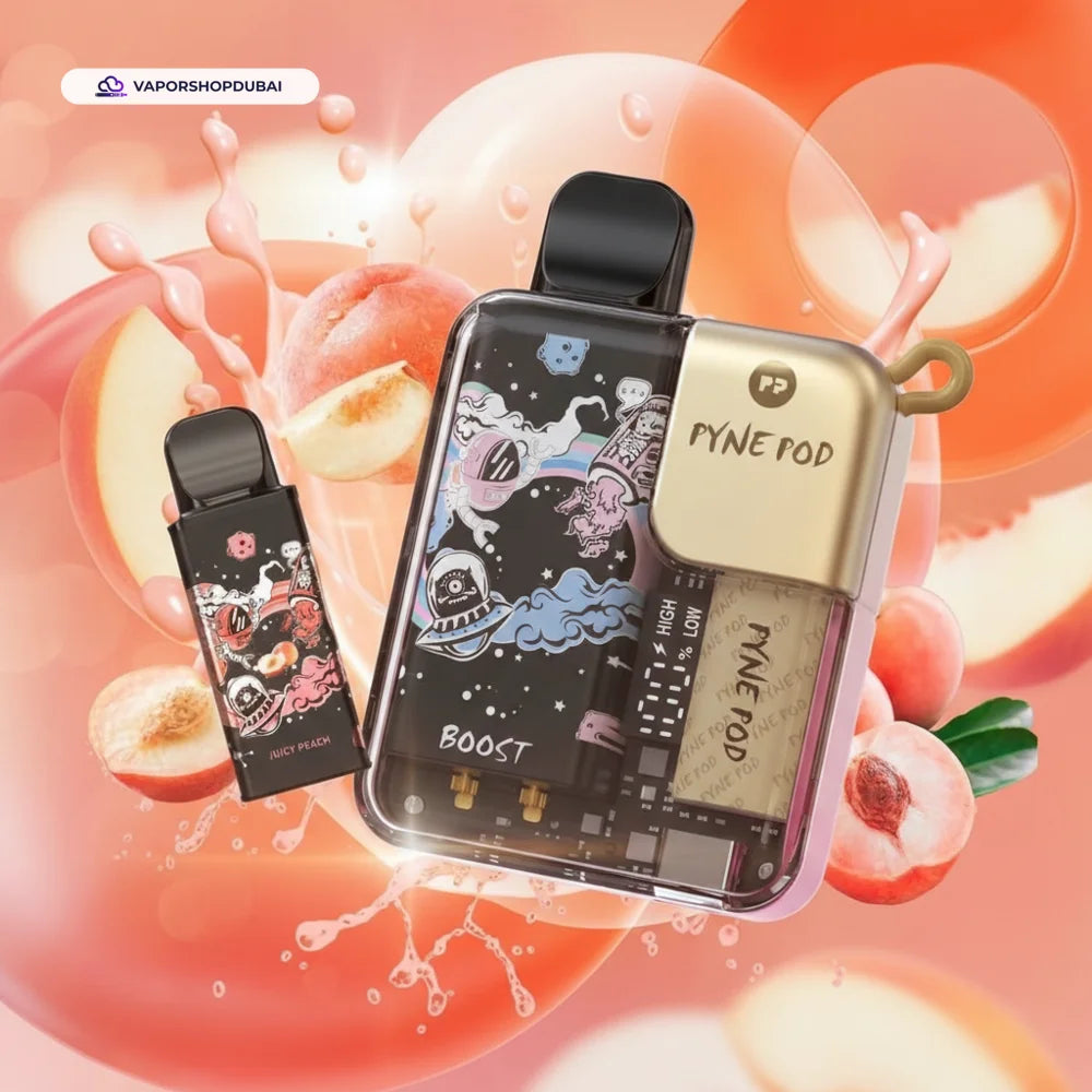 Pyne Pod 8000 Puffs Disposable Vape (Replaceable Pod) In UAE