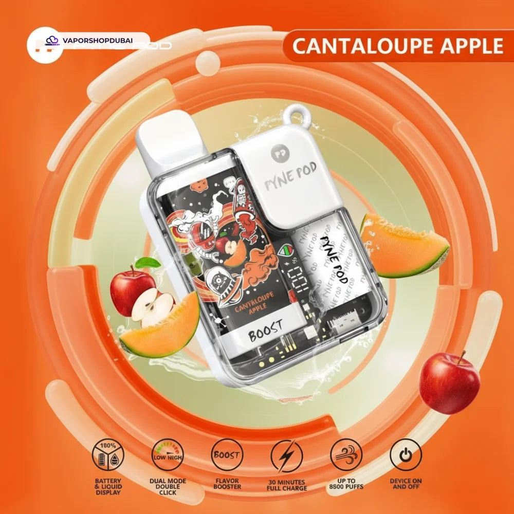 Pyne Pod 8500 Disposable Vape In UAE