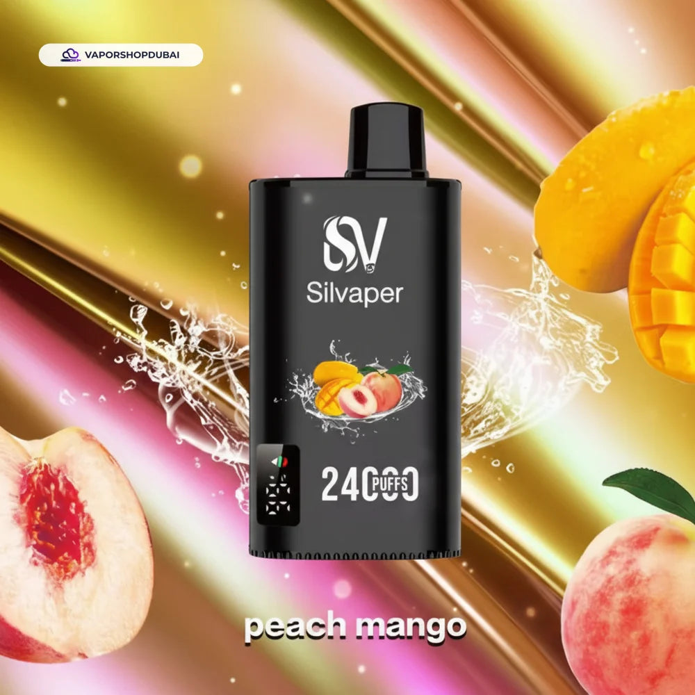 Silvaper 24000 Puffs Disposable Vape In UAE