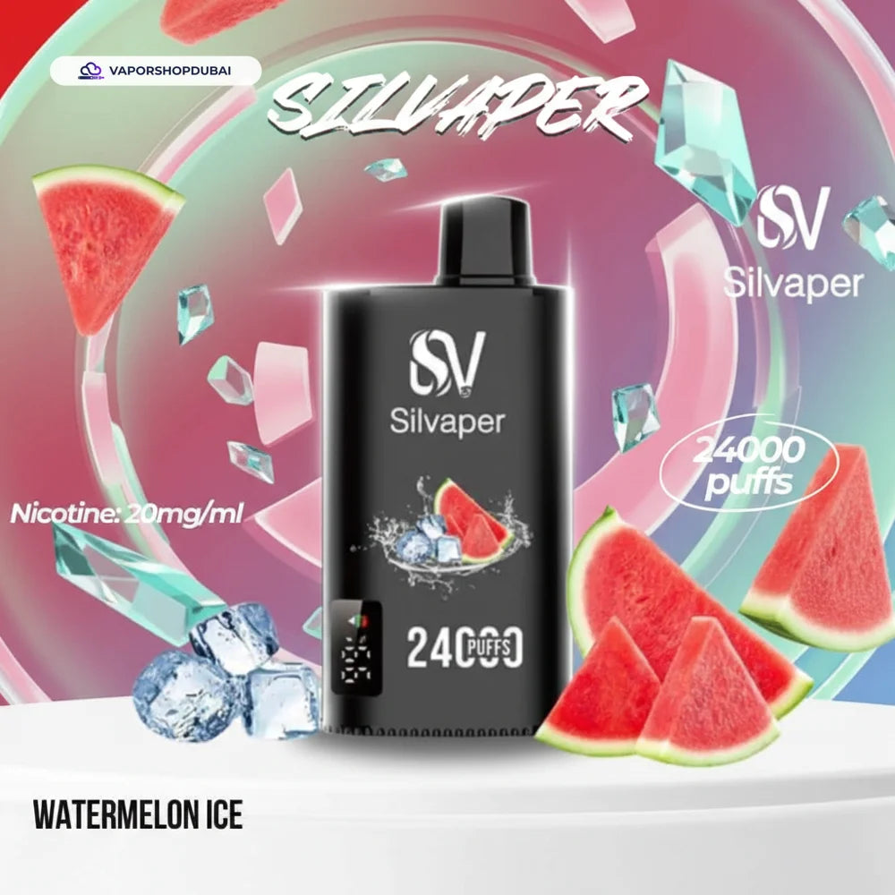 Silvaper 24000 Puffs Disposable Vape In UAE